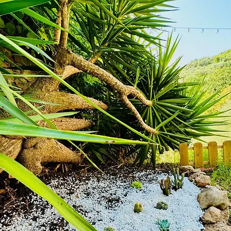 Casa Olive 53 Mare Сasa de vacaciones La Spezia