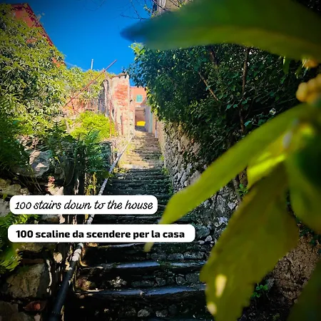 Casa Olive 53 Mare Holiday home