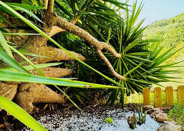 Casa Olive 53 Mare 度假居 斯培西亚